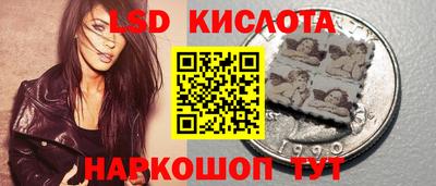 прущие грибы Балахна
