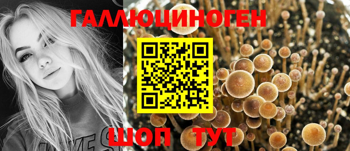 Псилоцибиновые грибы мицелий Гусь-Хрустальный